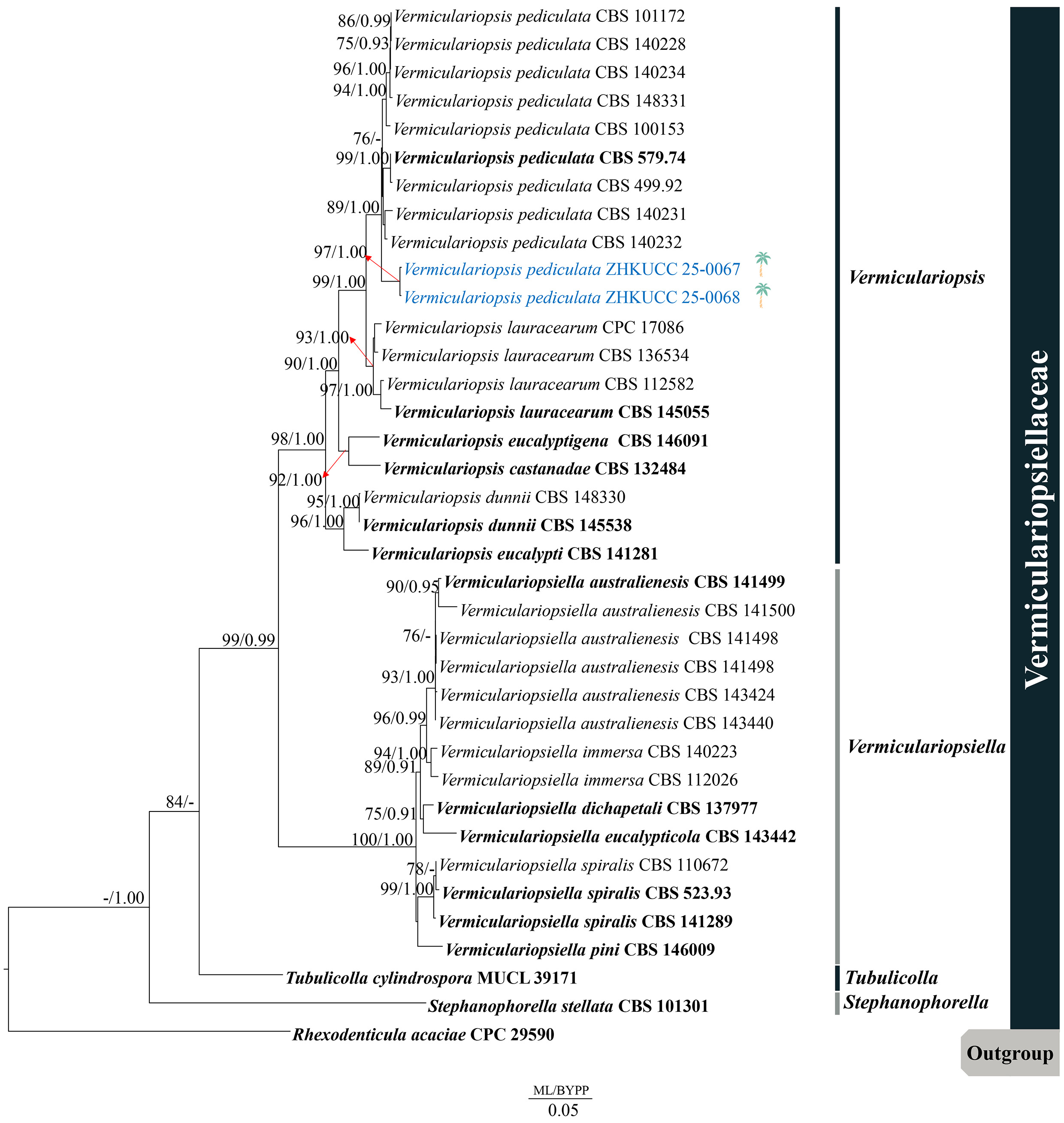 Figure 109